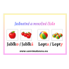 Jednotné a množné číslo