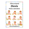 Učíme sa slovesá Dievča - Učenie a sústredenie