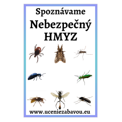 Spoznávame zvieratá Nebezpečný hmyz | Učenie zábavou