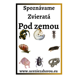 Spoznávame zvieratá Pod zemou | Učenie zábavou