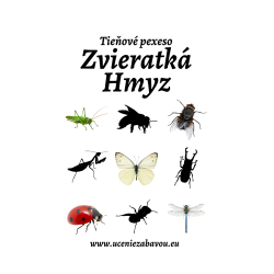 Tieňové pexeso: Hmyz   Učenie zábavou