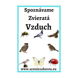 Spoznávame zvieratá Vzduch | Učenie zábavou