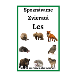 Spoznávame zvieratá Les | Učenie zábavou