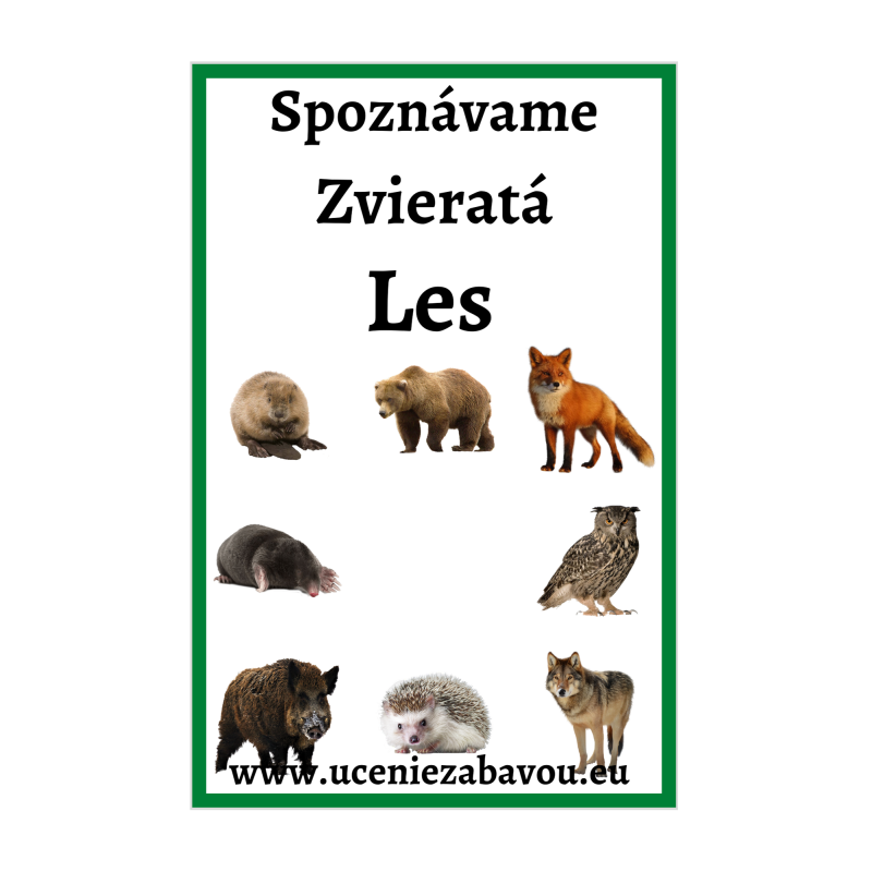 Spoznávame zvieratá Les | Učenie zábavou