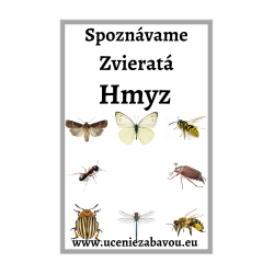 Spoznávame zvieratá Hmyz   Učenie zábavou