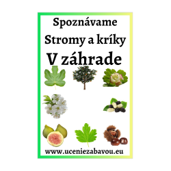 Spoznávame Stromy a kríky v záhrade Učenie zábavou