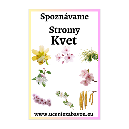 Spoznávame stromy Kvet  Učenie zábavou