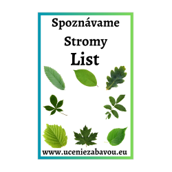 Spoznávame stromy List   Učenie zábavou