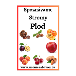 Spoznávame stromy Plod  Učenie zábavou