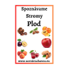 Spoznávame stromy Plod  Učenie zábavou