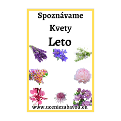 Spoznávame Kvety - Leto  Učenie zábavou
