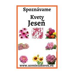 Spoznávame Kvety - Jeseň  Učenie zábavou