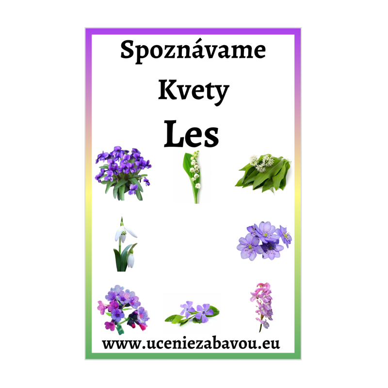 Spoznávame Kvety - Les  Učenie zábavou