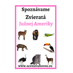 Spoznávame zvieratá Južná Amerika   Učenie zábavou