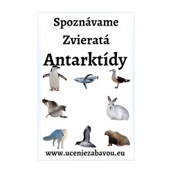 Spoznávame zvieratá Antarktída  Učenie zábavou