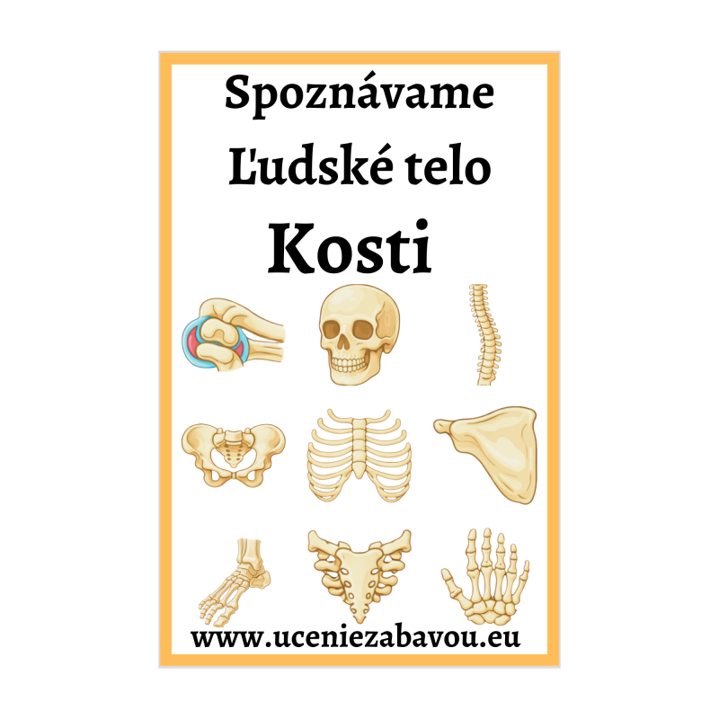 Spoznávame Ľudské telo - Kosti