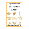 Spoznávame Ľudské telo - Kosti