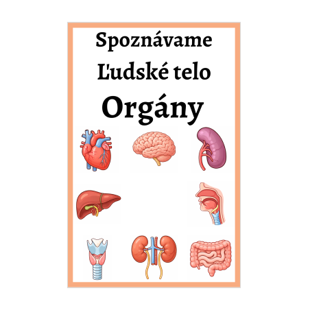 Spoznávame Ľudské telo - Orgány