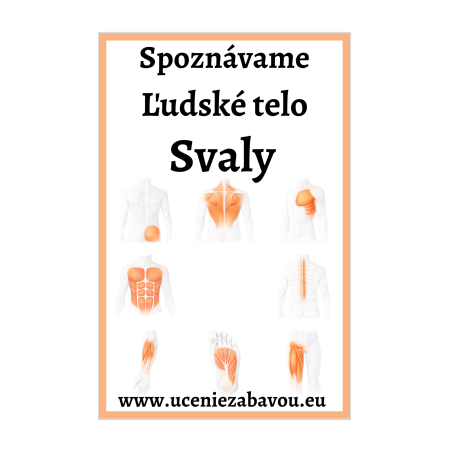 Spoznávame Ľudské telo - Svaly