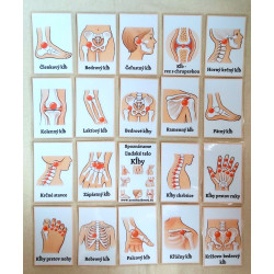 Spoznávame Ľudské telo - Kĺby